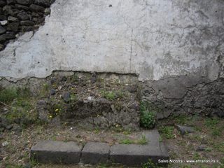 iesa della Misericordia-03-05-2014 17-19-15